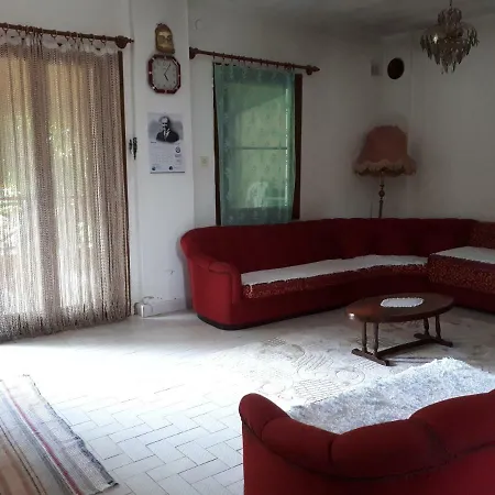 Daily Rent Villa *