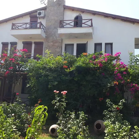 Daily Rent * Datca
