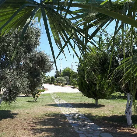 Daily Rent * Datca