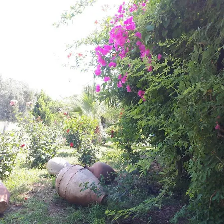 Daily Rent Villa Datca